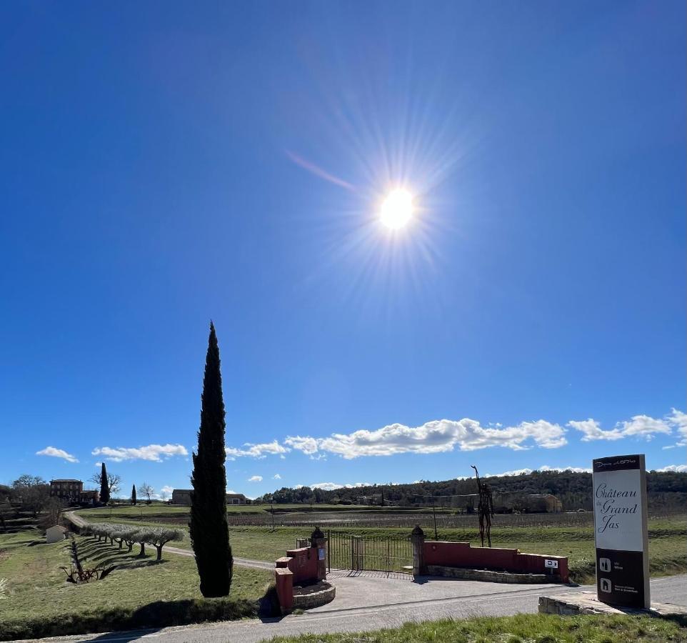Chateau Du Grand Jas Entrecasteaux Kültér fotó