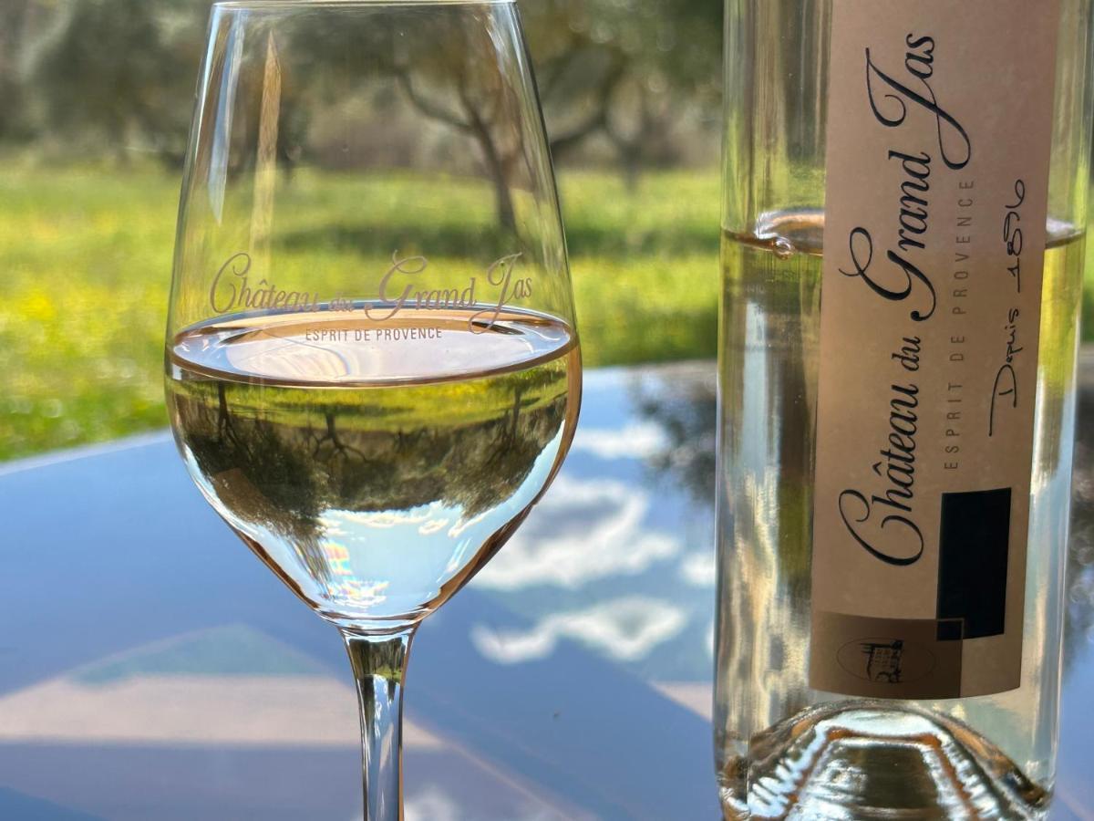 Chateau Du Grand Jas Entrecasteaux Kültér fotó